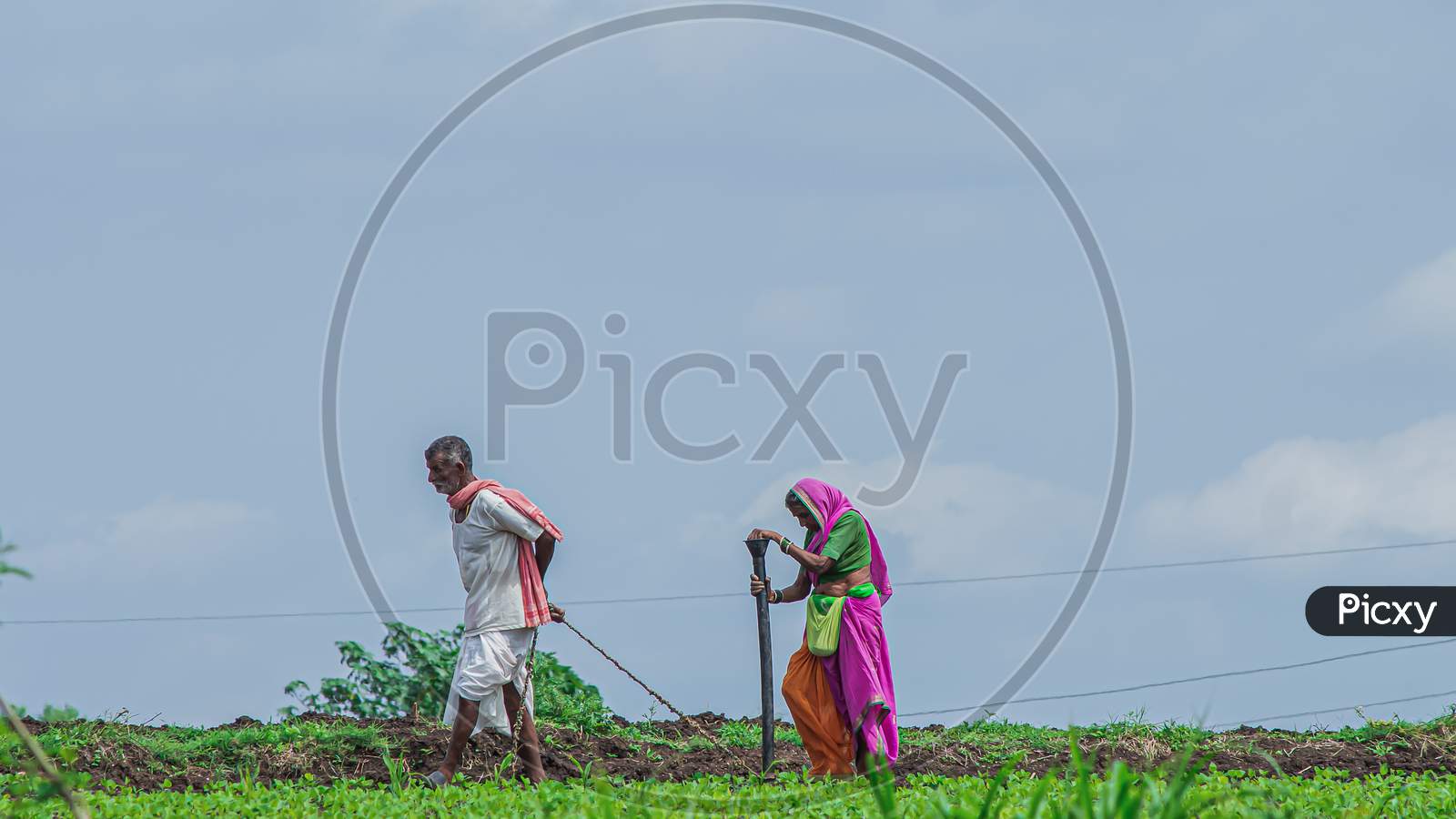 Couple doing sowing in farm