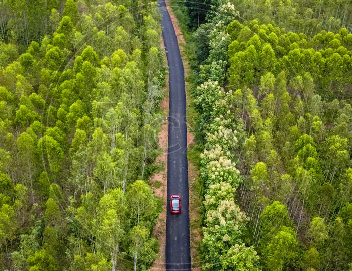 Aerial view of car travelling through the green woods