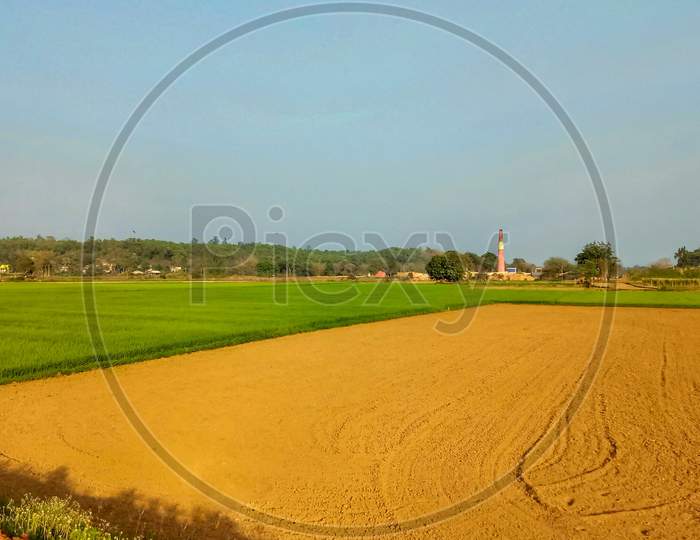 Newly prepared farmland beside the green paddy field
