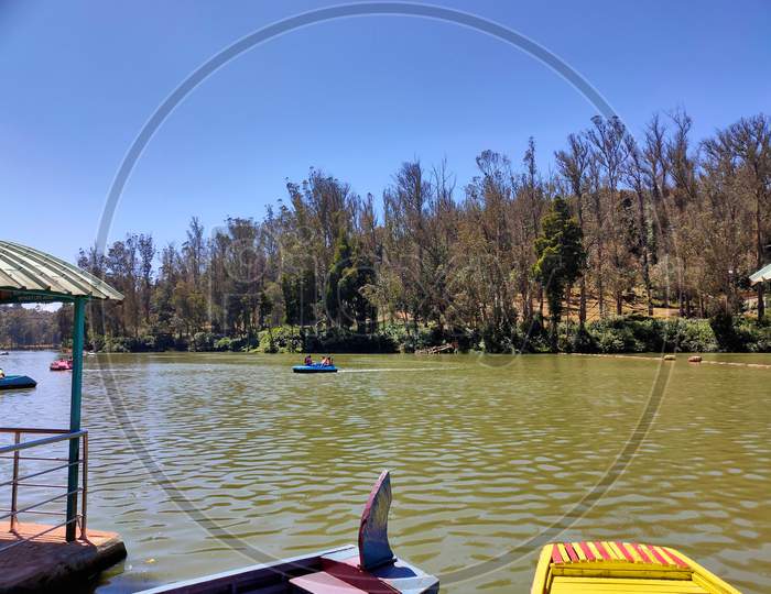 Ooty lake with view of pine forest