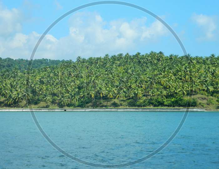 Coconut trees in island from ocean view