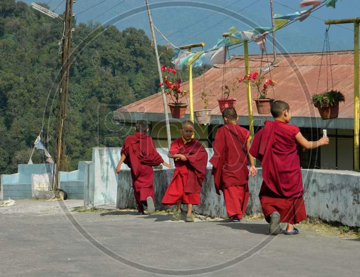 Kid Monks of monastery running