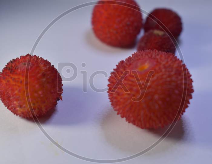 wild red strawberry with thick skin and blue background