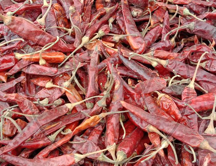 Spicy And Hot Dry Red Chilli Stock