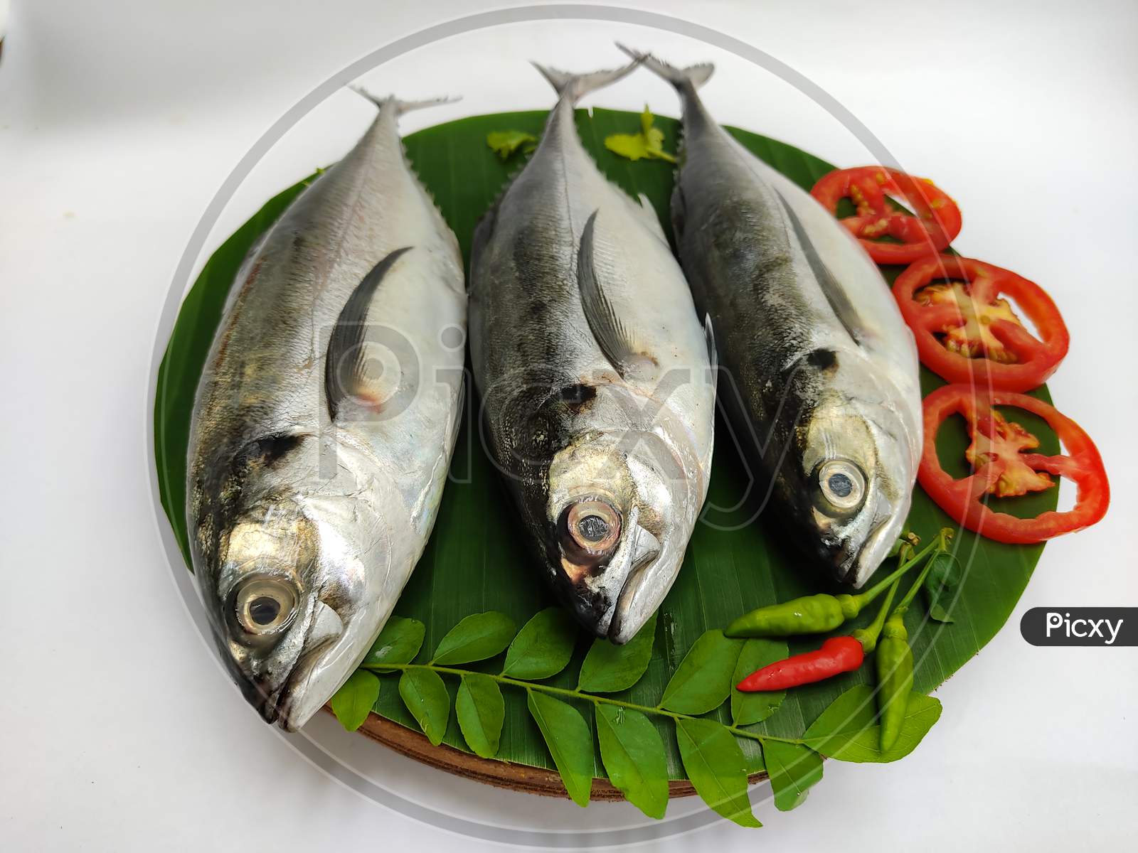 Close Up View Of Fresh Finletted Mackerel Fish/ Torpedo Scad Fish Decorated With Curry Leaves , Tomato,Lemon Slice And Herbs On A White Background.Selective Focus.