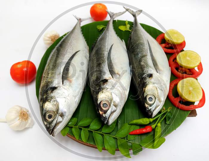 Close Up View Of Fresh Finletted Mackerel Fish/ Torpedo Scad Fish Decorated With Curry Leaves , Tomato,Lemon Slice And Herbs On A White Background.Selective Focus.