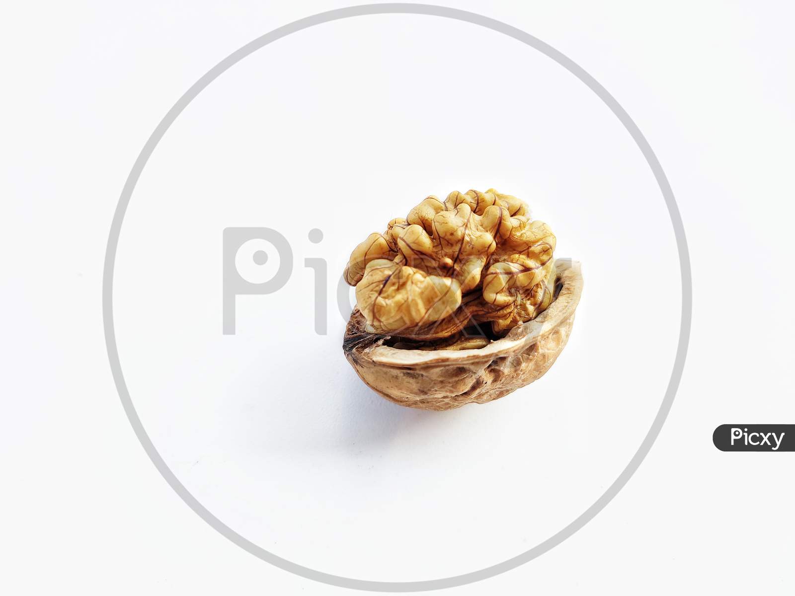 walnut on white background.walnut with brain like structure