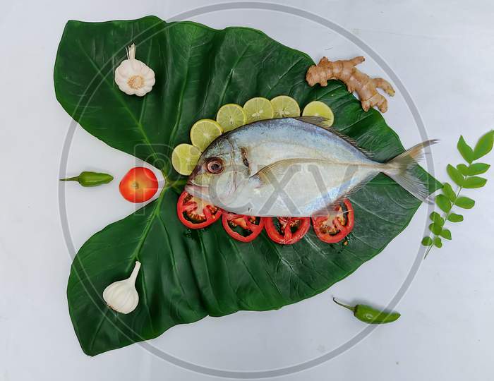 Close Up View Of Fresh Malabar Trevally Fish Decorated With Curry Leaves , Tomato,Lemon Slice And Herbs On A White Background.