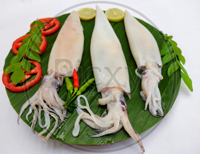 Close Up View Of Fresh Raw Whole Cleaned Loligo Squid (Loligo Duvauceli) Decorated With Curry Leaves , Tomato,Lemon Slice And Herbs On A White Background,Selective Focus. Background.Selective Focus.