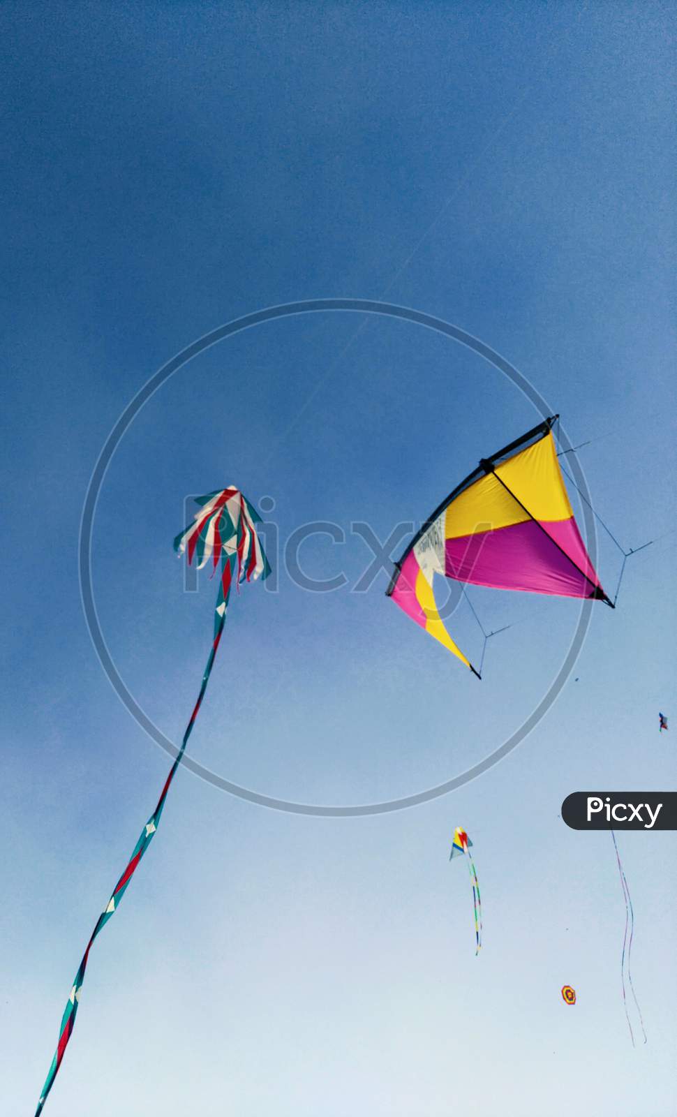 Kites festival