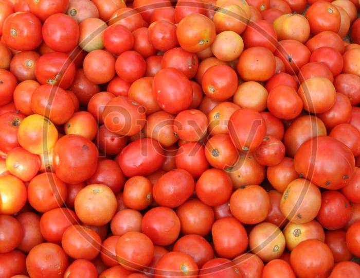 Many Tomato Solanum Lycopersicum L In The Market With Tomato Background.