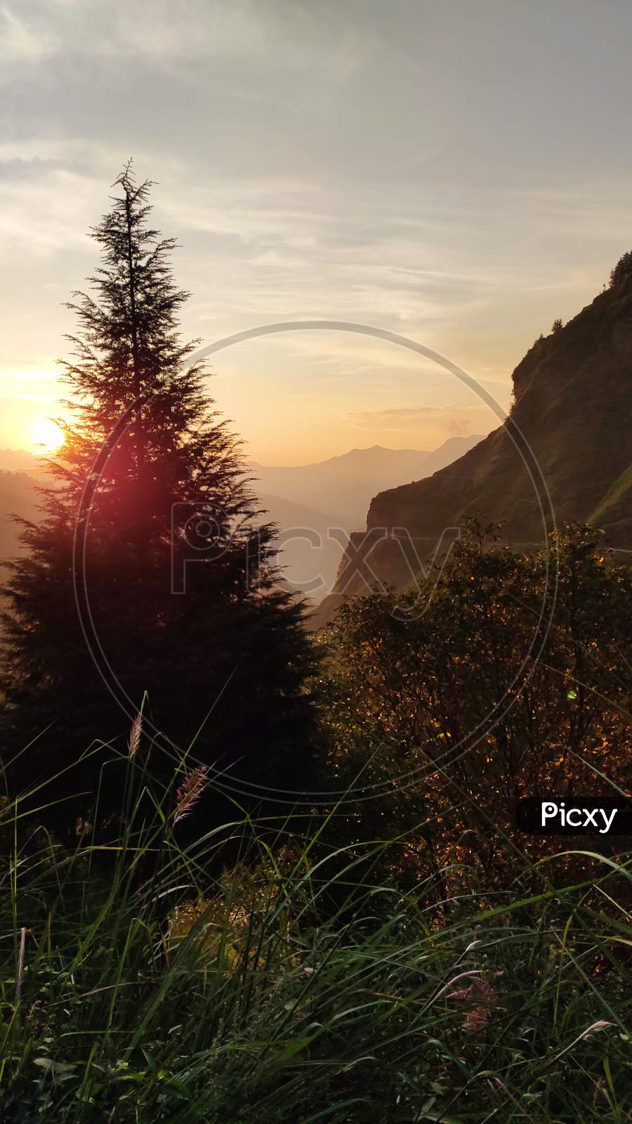 Scenic view of mountain with pine tree during sunset