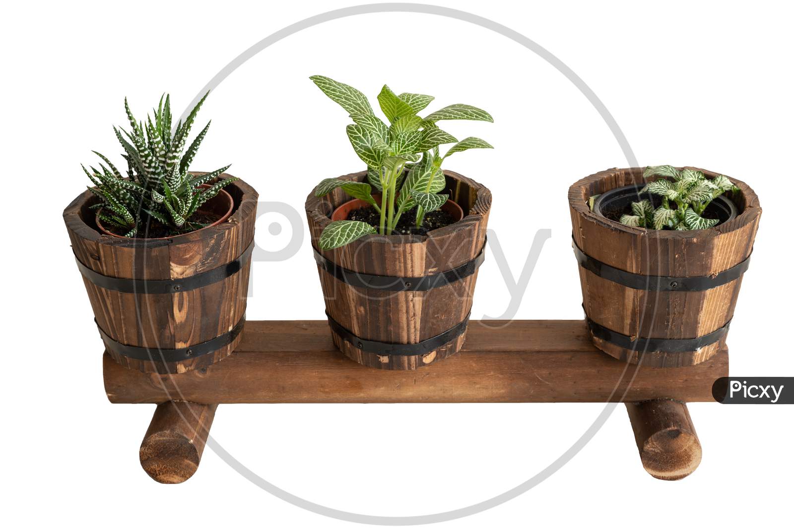 Front View Of A Wooden Plants Display