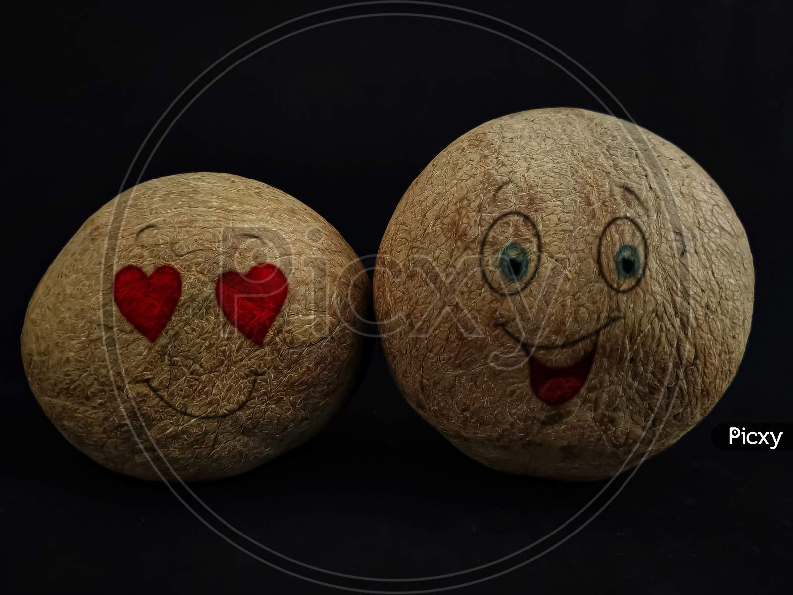 Face Expressions In Dry Coconut