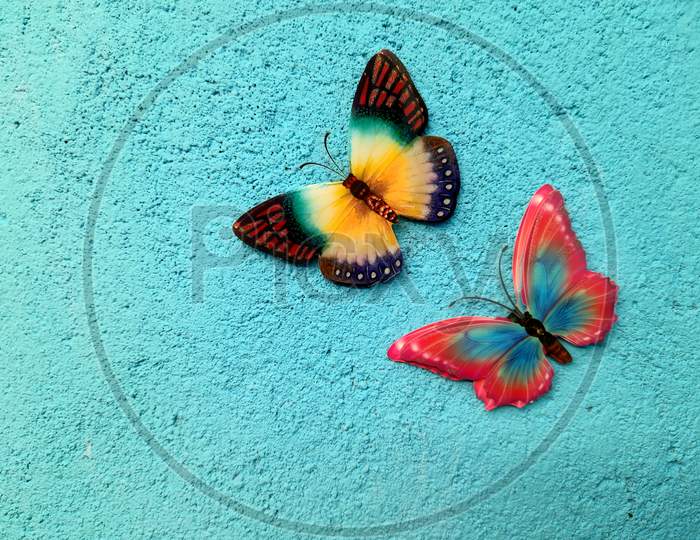 Beautiful butterfly  image in blue wall, Butterfly image, two Butterfly image, Selective Focus, Background