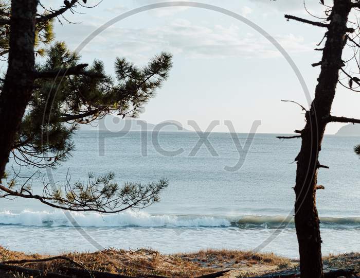 Close Up Of The Beach From The Forest Nearby With A Clear And Bright Day