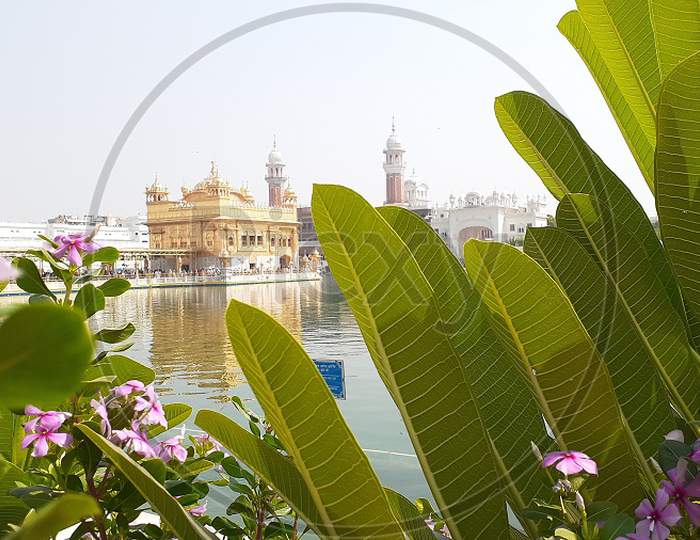 view of golden temple