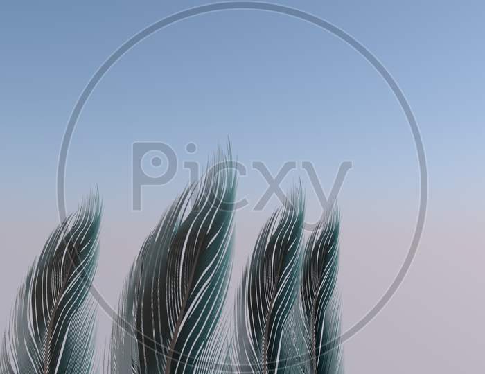 Soft Silky Feathers Isolated With Copy Space For Text And Advertisement