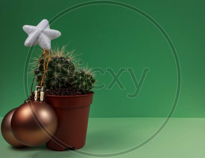 Creative Christmas Tree, Little Cactus