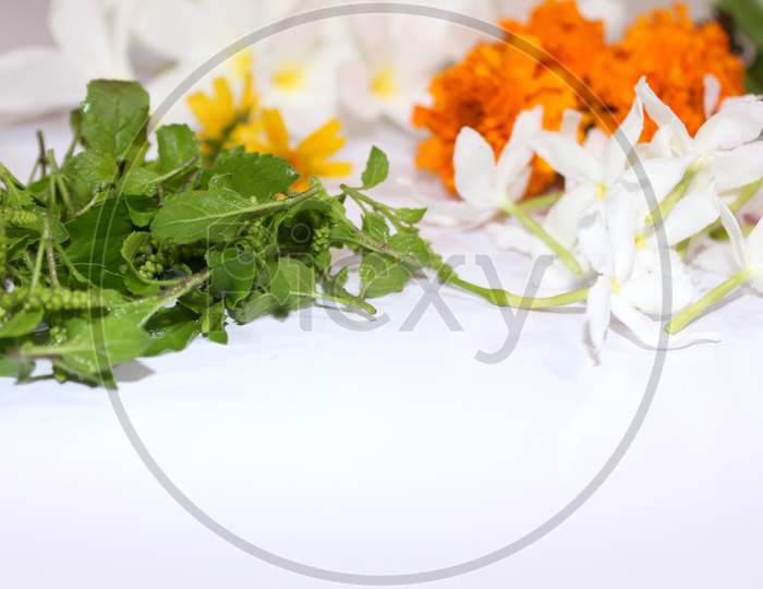 Fresh Aromatic Herb Flowers And Leaves