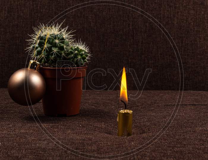 Christmas Cactus Tree And Shiny Candle