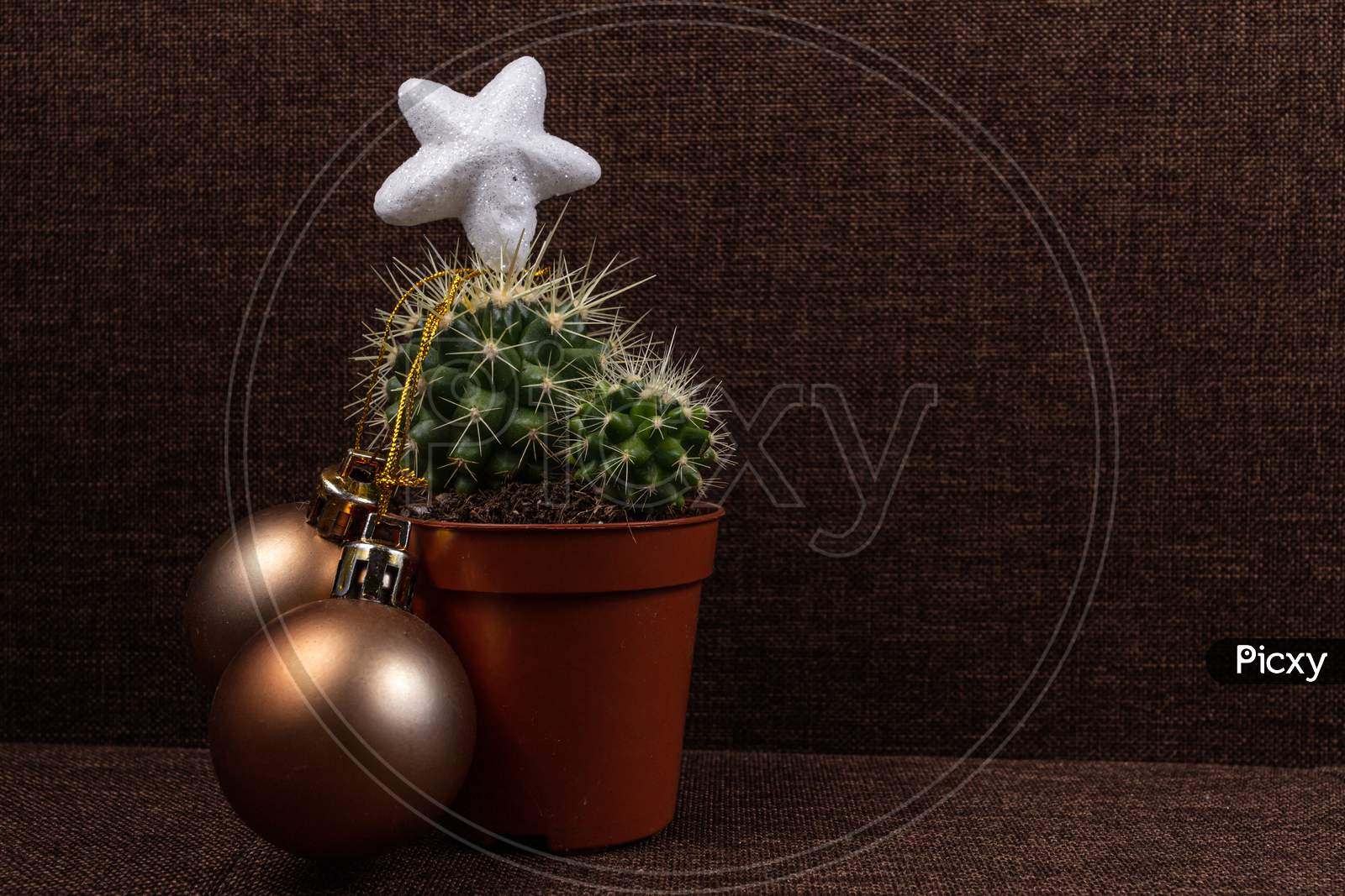 Christmas Cactus Tree, Holiday Decoration