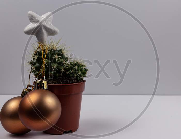Creative Christmas Tree, Little Cactus