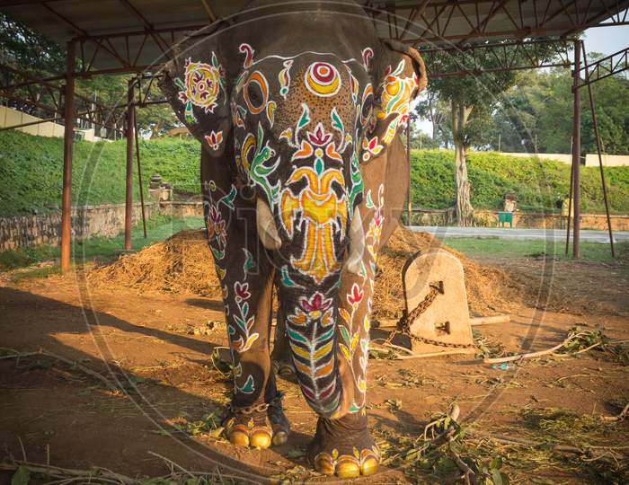 A Beautiful view of the Royal Elephant with Colorful Artwork painting done on its Full body for the religious Dasara Carnival in Mysuru of Karnataka state/India.