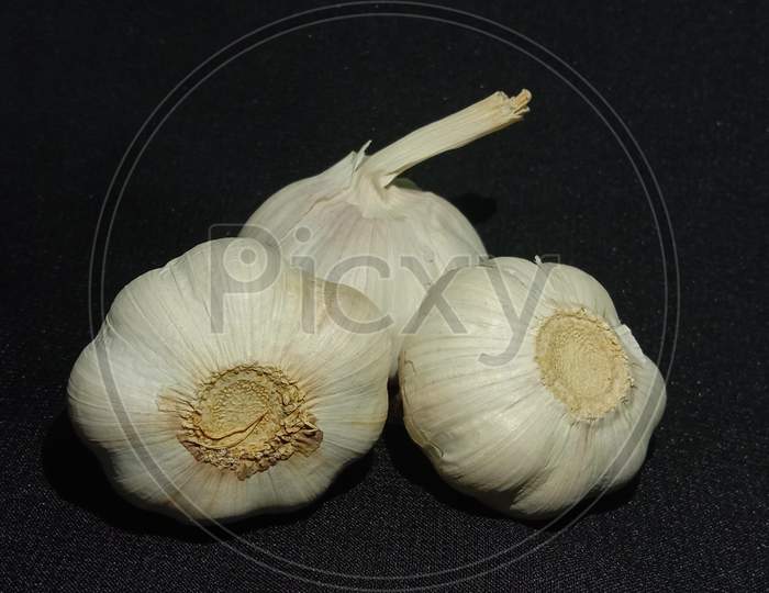 Garlic (Allium sativum)