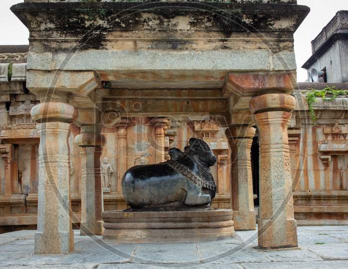 View Of Nandhi Statue In An Ancient Temple, Avani, Karnataka, India. Nandi Is The Gate-Guardian Deity Of Kailasa, The Abode Of Lord Shiva
