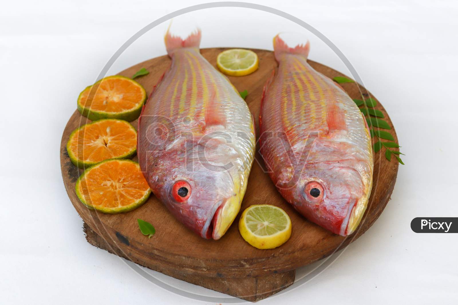 Close Up View Of Fresh Pink Perch (Thread Finned Bream) Decorated With Lemon Slice,Orange Slice And Curry Leaves On A Wooden Pad,White Background,Selective Focus.