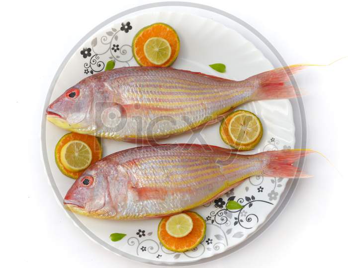 Close Up View Of Fresh Pink Perch (Thread Finned Bream) Decorated With Lemon Slice,Orange Slice And Curry Leaves On A White Plate,White Background,Selective Focus.
