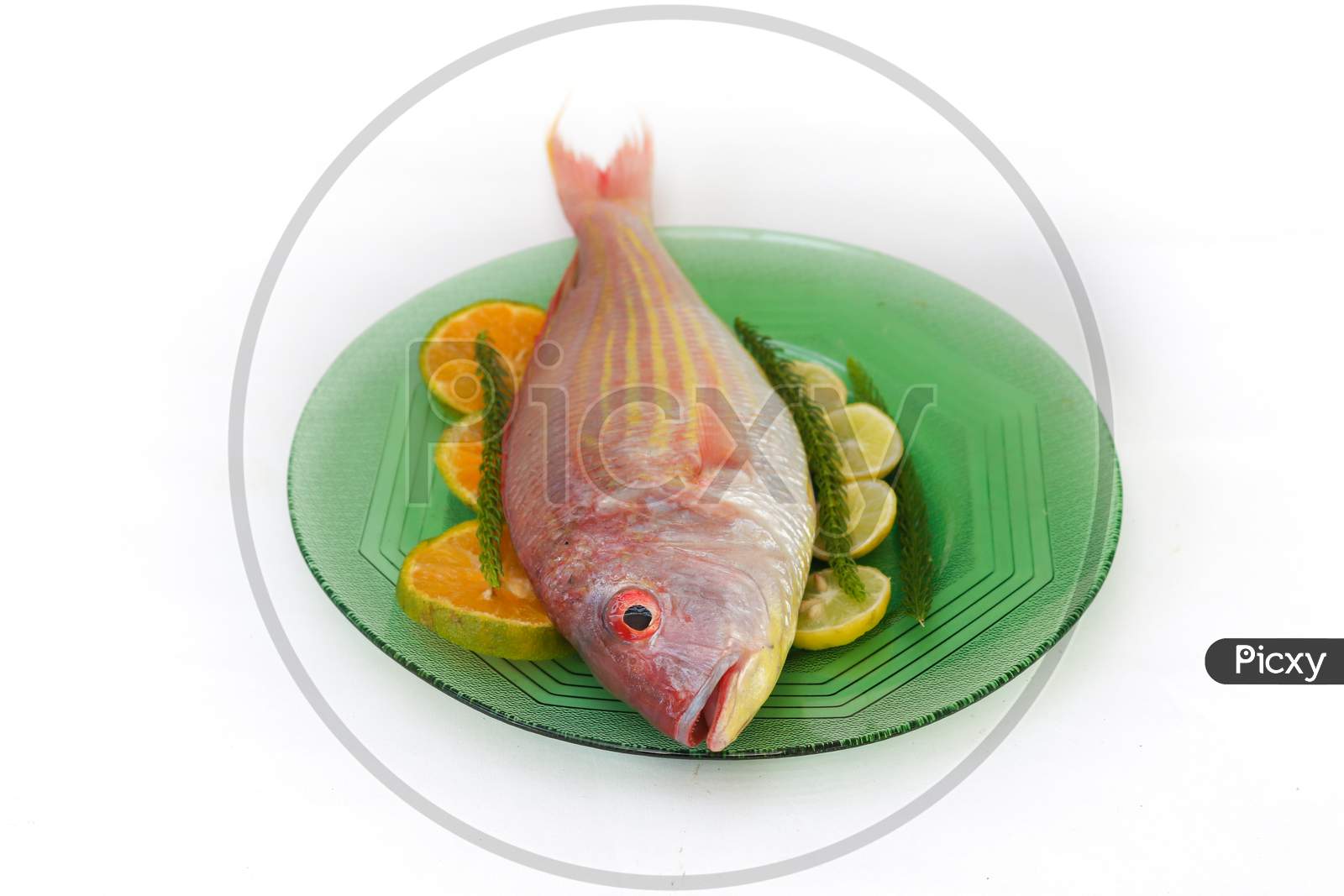 Close Up View Of Fresh Pink Perch (Thread Finned Bream) Decorated With Lemon Slice,Orange Slice And Curry Leaves On A Glass Plate ,White Background,Selective Focus.