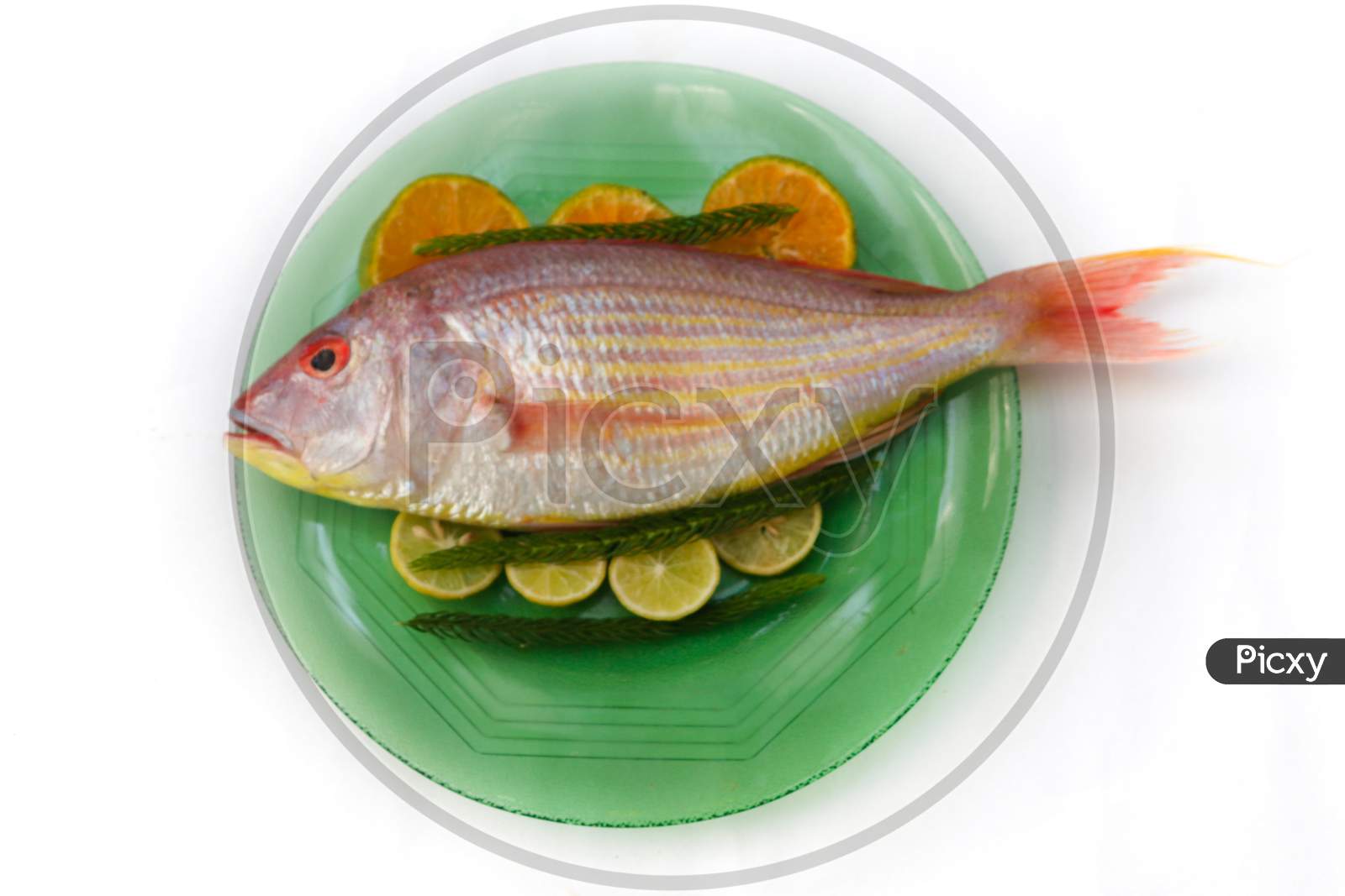 Close Up View Of Fresh Pink Perch (Thread Finned Bream) Decorated With Lemon Slice,Orange Slice And Curry Leaves On A Glass Plate,White Background,Selective Focus.