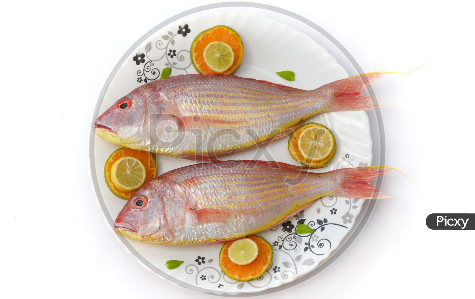 Close Up View Of Fresh Pink Perch (Thread Finned Bream) Decorated With Lemon Slice,Orange Slice And Curry Leaves On A White Plate,White Background,Selective Focus.