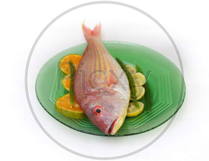 Close Up View Of Fresh Pink Perch (Thread Finned Bream) Decorated With Lemon Slice,Orange Slice And Curry Leaves On A Glass Plate ,White Background,Selective Focus.