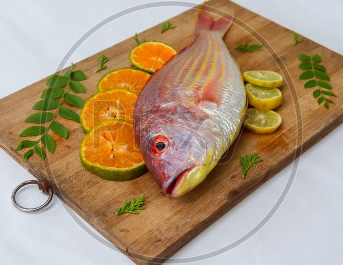 Close Up View Of Fresh Pink Perch (Thread Finned Bream) Decorated With Lemon Slice,Orange Slice And Curry Leaves On A Wooden Pad,White Background,Selective Focus.