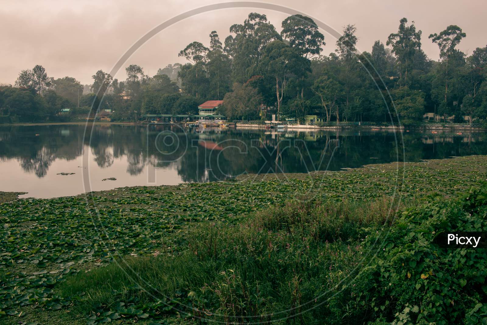 Scenic View Of A Boat House In Yercaud Lake Which Is One Of The Largest Lakes In Tamil Nadu. India