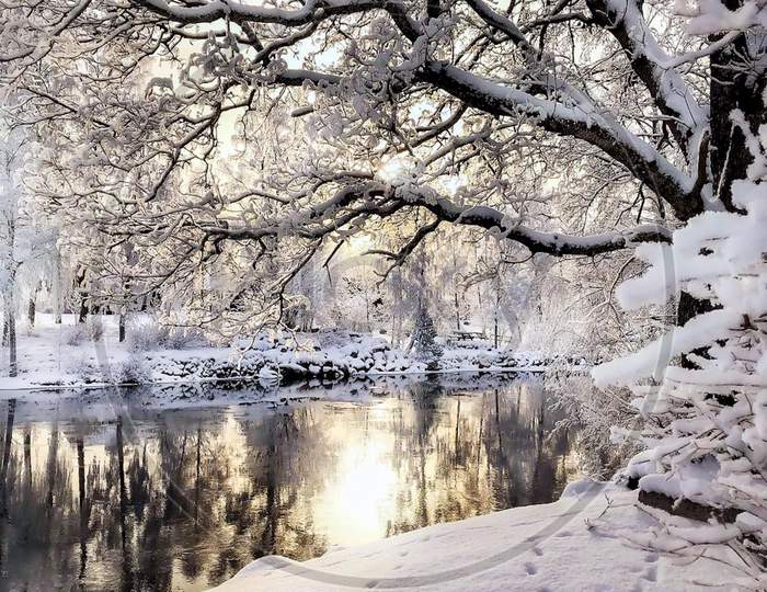 A wonderful winter landscape