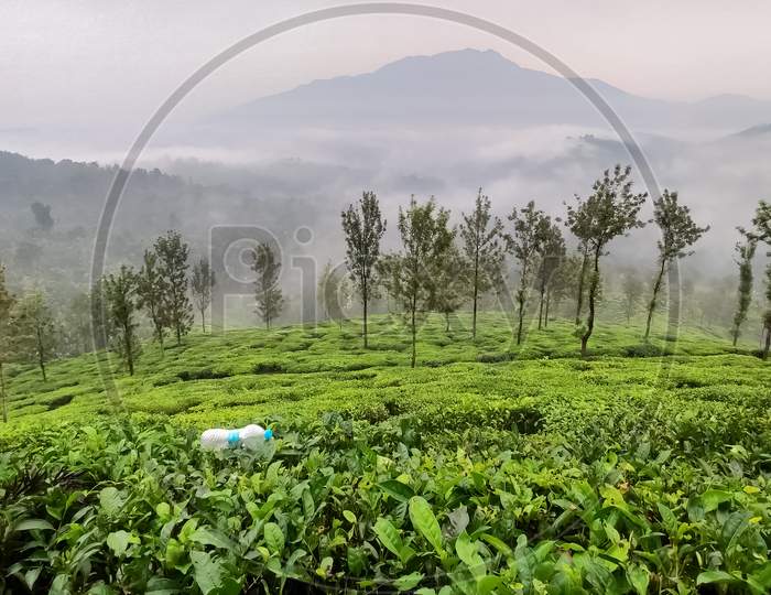 Landscape View Of A Plastic Bottle Spoiling And Polluting A Beautiful Site Of A Valley Of Tea Plantation And A Mountain In The Background.