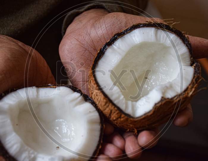 Picture Of Man Holding A Ripe Broken Coconut.