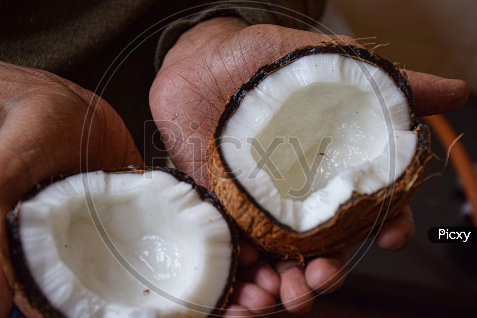 Picture Of Man Holding A Ripe Broken Coconut.