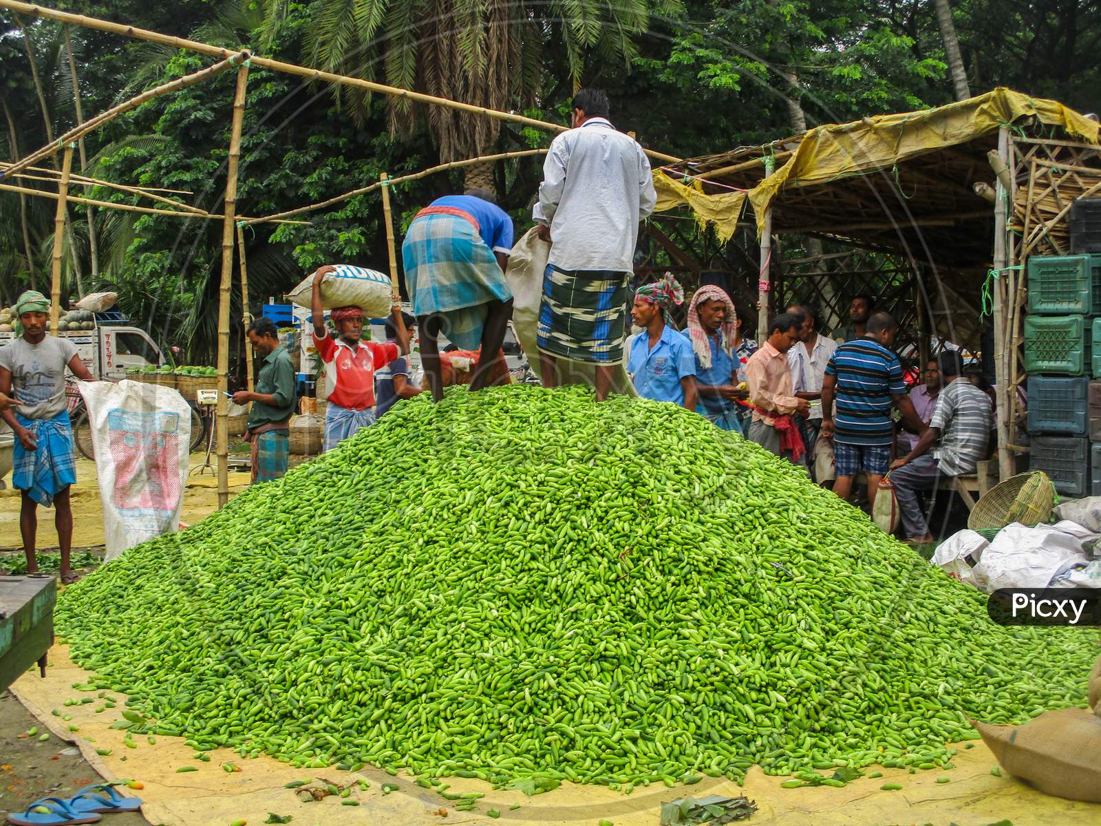 West Bengal , India June 01, 2019 : Indian Street Vegetable Market Is Overflowed With Vegetables , Two Man Are Standing On A Hill Of Vegetables .