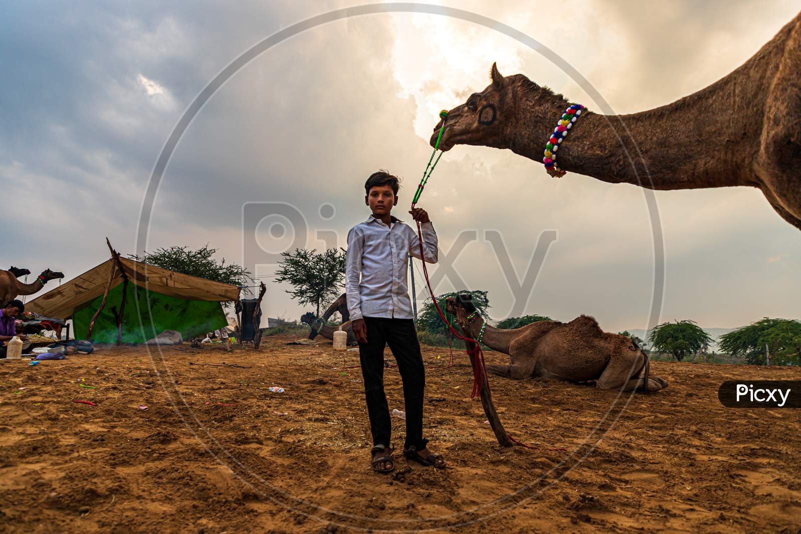 Portrait Of A Rajasthani Boy,Faces Of Rajasthan,Pushkar Camel Festival.