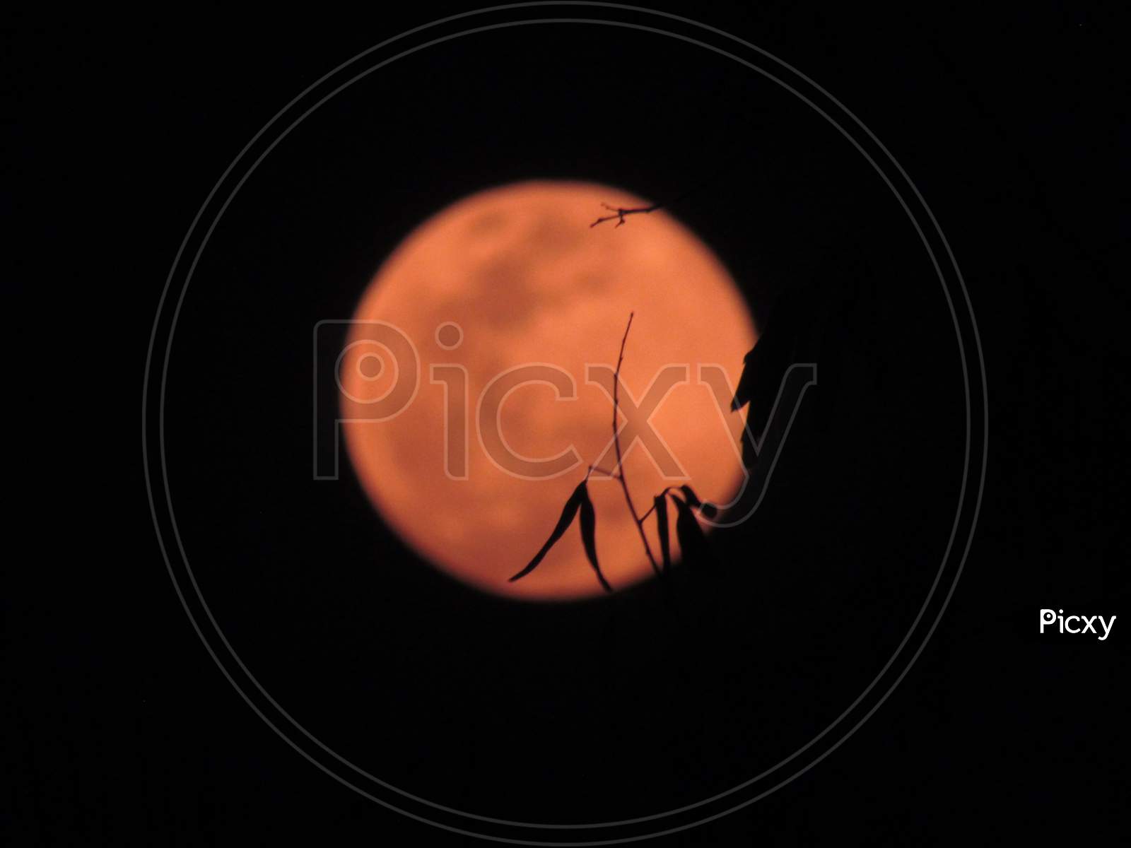 Orange moon
