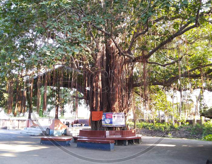 Taki Swarnamayee Samsan Ghat