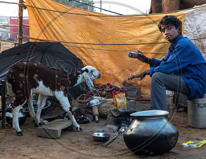Portrait Of A Boy In His Open Kitchen At Pushkar Camel Festival.