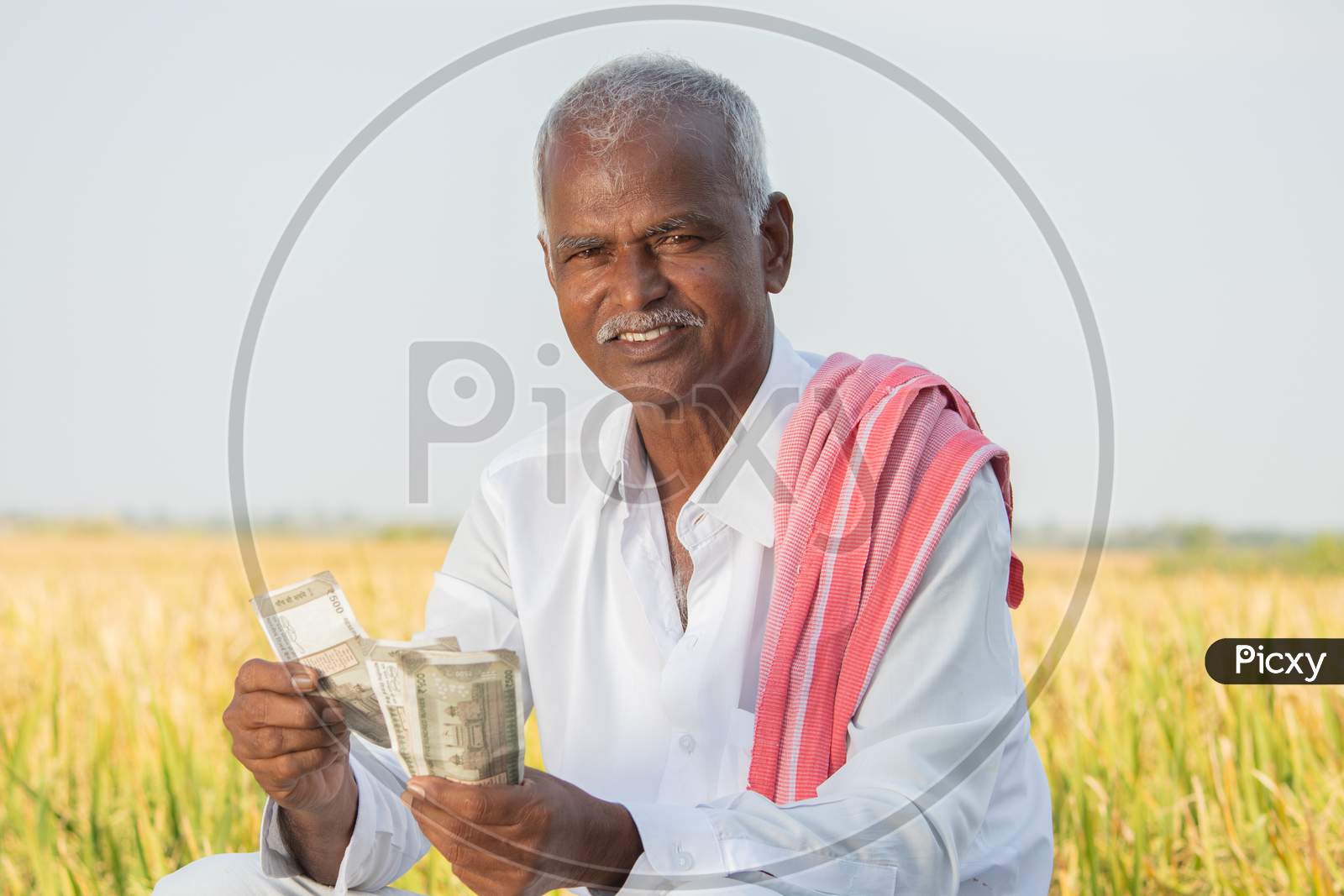 Happy Smiling Indian Farmer Couting Money On Agriculture Field While Looking Camera - Concept Of Good Or Bumper Crop Harvest, Farm Subsidy And Credit