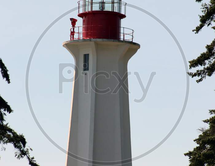 A Close Up Of Light House With Tree .