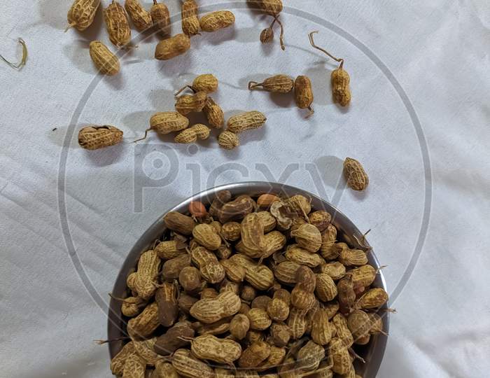 Arachis hypogaea plant nut peanut in indian village